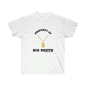 Open image in slideshow, Property of Big South Unisex Ultra Cotton Tee

